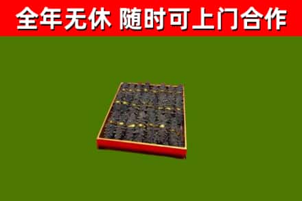 西固区回收海参